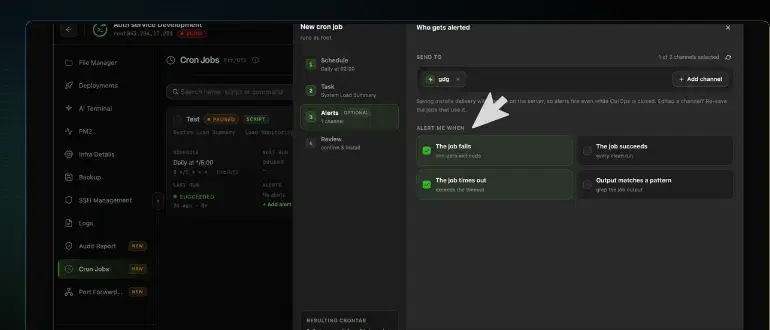 The Who gets alerted panel of a CtrlOps cron job with The job fails and The job times out ticked in green, above the unticked The job succeeds and Output matches a pattern